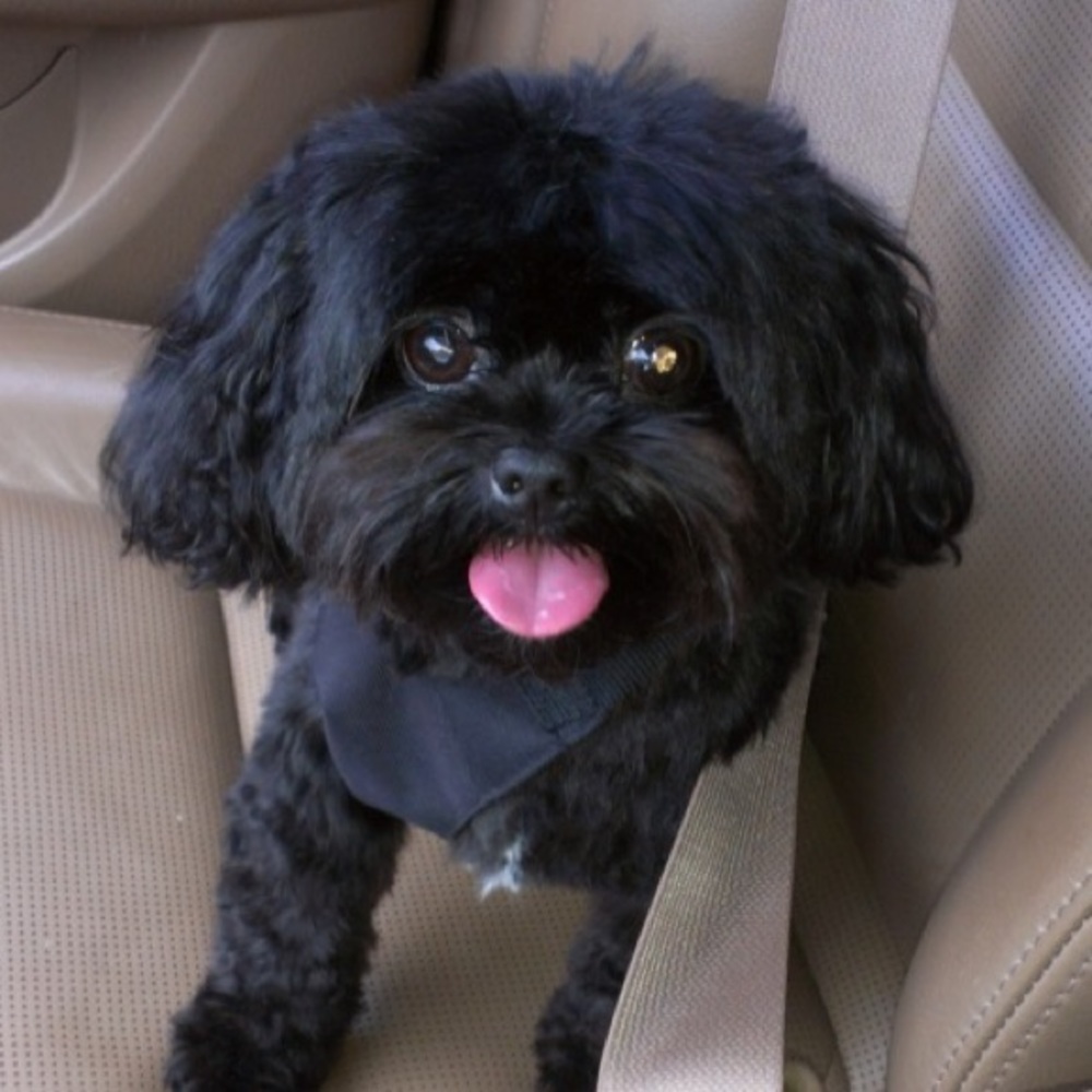 Meet your Posher, Whitney